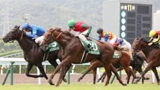 マイネルグリットが競走馬登録抹消