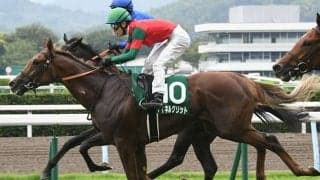 【JRA】2019年小倉2歳Sを制したマイネルグリットが登録抹消 地方競馬へ移籍予定