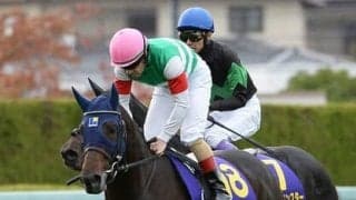 アメリカジョッキークラブＣは、ディープ産駒よりコース適性が高そうな２頭をチェック