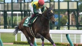 【東海S枠順確定】オーヴェルニュは6枠11番、サンライズホープは8枠15番