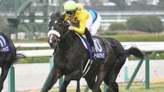 【3歳次走】サークルオブライフはチューリップ賞から桜花賞へ 他有力馬情報