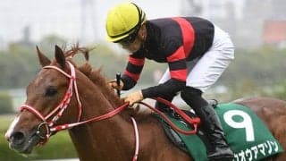 【次走】ホウオウアマゾンはサウジ遠征を辞退し東京新聞杯へ