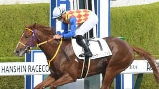 【3歳次走】エスポワールシチーの半弟テーオードレフォンは自己条件戦、インディチャンプの半妹ラキエータはかささぎ賞へ