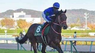 【次走】パンサラッサは金鯱賞、中山記念を視野に　昨年の福島記念を逃げ切り圧勝