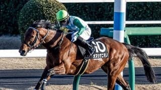 【次走】オヌシナニモノは大和Sへ　オープン初勝利を狙う