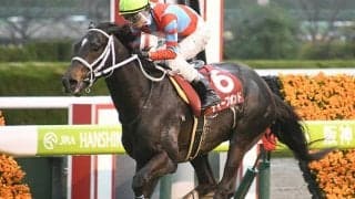 ディープボンド、グレナディアガーズは選出されていたサウジCデー諸競走を辞退