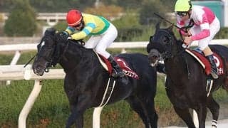 【根岸S想定】サクセスエナジー、テイエムサウスダン、ソリストサンダーなど21頭