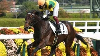 【本日の注目ポイント】若駒Sで5億円馬リアドが武豊騎手を背に連勝狙う