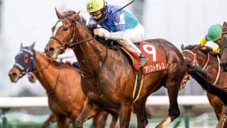 【AJCC予想】気象予報士の激走予報！ 冬の中山で狙える「穴馬」とは