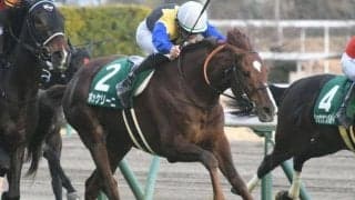 【AJCC】ボッケリーニ陣営「直線の短いコースは合っています」/ねぇさんのトレセン密着