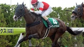 【東海S予想】衰えある高齢馬は「消し」！ 好走確率の高い前走GI組も「選別は重要」