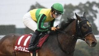 【東海S前日オッズ】昨年覇者オーヴェルニュが3.9倍で1番人気