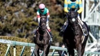 【AJCC予想】例年と比べると傷みは少ない印象で… /万哲の馬場予報