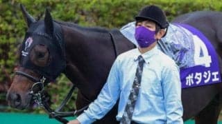 【AJCC】ポタジェ陣営「器用な馬。(枠も)すごくいい」/ねぇさんのトレセン密着