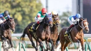【WIN5予想】AJCCはキャリアの浅い馬や実績ある先行馬が有力