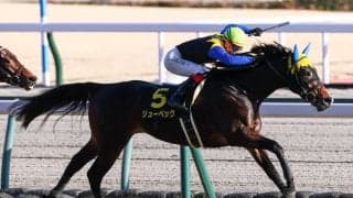 【若駒S】ディアドラ全弟 リューベックが2勝目