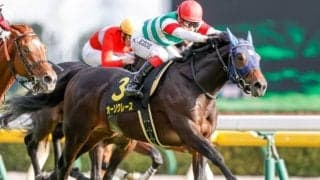 【本日の注目ポイント】中山でAJCC、中京では東海S