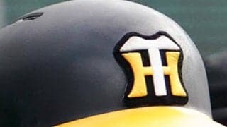 「手作業だったとは驚き」　阪神のヘルメット“完成シーン”が「まさに職人技」