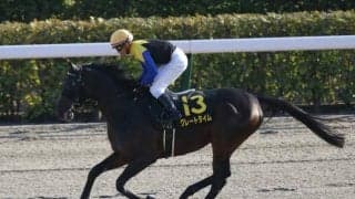 【東海S予想】近走好調の古豪が、鞍上を重賞初制覇に導くか