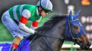 【AJCC予想】中山芝2200mは再好走の絶好コース！ 高配当狙いにちょうどいい穴馬はどれだ？