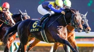 【AJCC予想】AI予想が絶好調！ 今年は毎週「重賞的中」オーソクレースではない今週の「◎」は…