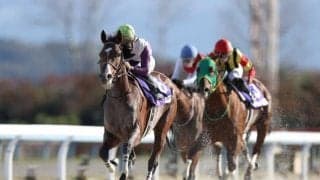 【大井・TCK女王盃枠順確定】テオレーマは8枠12番、ダイアナブライトは3枠3番