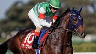 【AJCC・馬体重】オーソクレースは484kg(+10)、ポタジェは474kg(0)