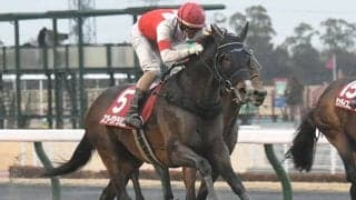 【東海S結果】スワーヴアラミスがオーヴェルニュをゴール寸前で差し切り重賞3勝目