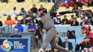 【プロ野球】シーズン最多本塁打記録保持者、ウラディミール・バレンティン引退　60本の夢をありがとう