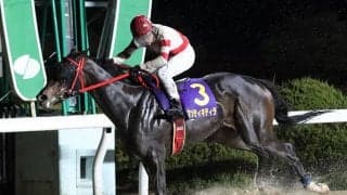 【佐賀・花吹雪賞結果】高知のアンティキティラが人気に応えて5連勝