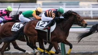 【新馬/中京6R】キタサンブラック産駒 キタサンシュガーがデビューV