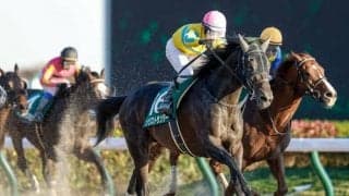 JRAは今週末から東京開催！ 重賞はGI前哨戦の根岸SとシルクロードS/今週の競馬界の見どころ