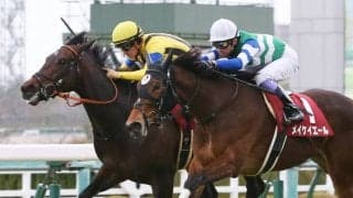 【シルクロードS登録馬】メイケイエールなど23頭