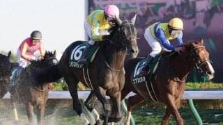 【根岸S登録馬】ソリストサンダーなど24頭