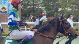 【シルクロードS見どころ】重賞3勝の明け4歳メイケイエールが人気の中心