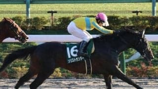 【根岸S見どころ】ソリストサンダーの重賞連勝なるか