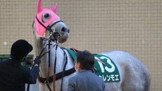 「お母さんのカレンチャンとは違って...」良血“モエさん”、悲願の重賞初制覇へ！