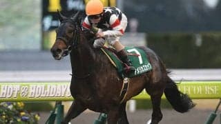 【先週のJRA抹消馬】2017年きさらぎ賞覇者アメリカズカップ、アイムユアーズの仔モーベットなど