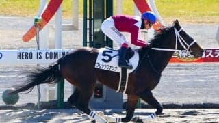 【新馬/中京3R】ホッコータルマエ産駒 ブリッツファングが7馬身差圧勝