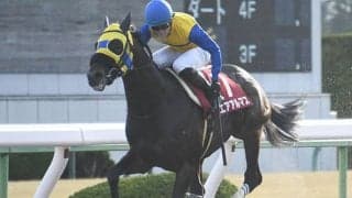 【AI予想・根岸S】すんなり先行なら「波乱の目」も!? 少数派「距離延長馬」を本命視！