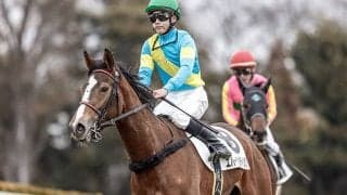 【JRA】横山武史騎手が関東首位浮上 “横山姓”がベスト5内で3人を占める