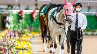 【シルクロードS想定騎手】カレンモエは松山弘平騎手、メイケイエールは池添謙一騎手