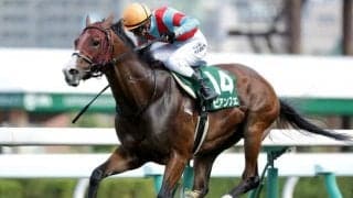 【シルクロードSハンデ確定】カレンモエは55.0kg、ビアンフェは57.5kg