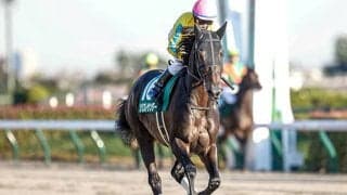 【根岸S想定騎手】ソリストサンダーは戸崎圭太騎手、オメガレインボーは横山和生騎手