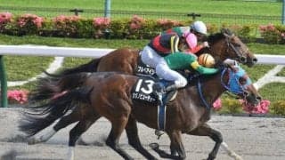 【根岸S展望】ペースが速くなり差し馬が台頭してきやすいレース