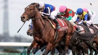 母方にサドラーズウェルズを持ち長めの距離を苦にしないロードカナロア産駒のキングオブコージ