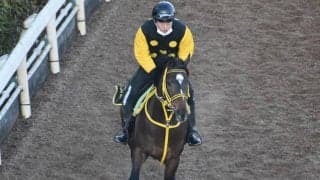 アルーリングウェイなど、先週の入厩情報/栗東トレセンニュース