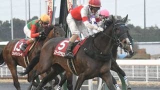 近年はダートのアベレージが良いハーツクライ産駒・スワーヴアラミスの血統背景