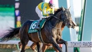 【根岸S予想オッズ】重賞連勝狙うソリストサンダーが予想1番人気