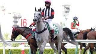 【シルクロードS予想オッズ】カレンチャンの仔カレンモエが予想1番人気